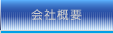 ЊTv